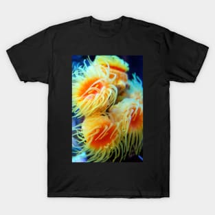 Sea Anemone T-Shirt